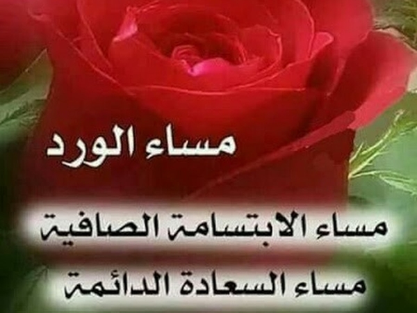 صور مساء الورد , كلمات ترحيبية مسائية