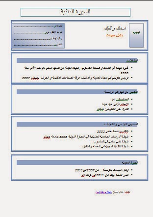 سيرة ذاتية جاهزة للطباعة 3153 8