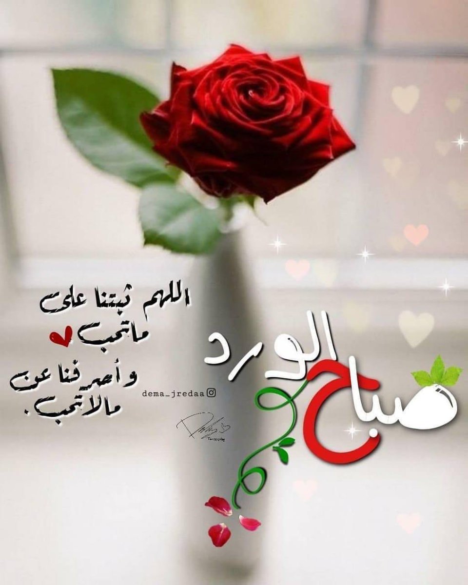 صباح نور 1250 9