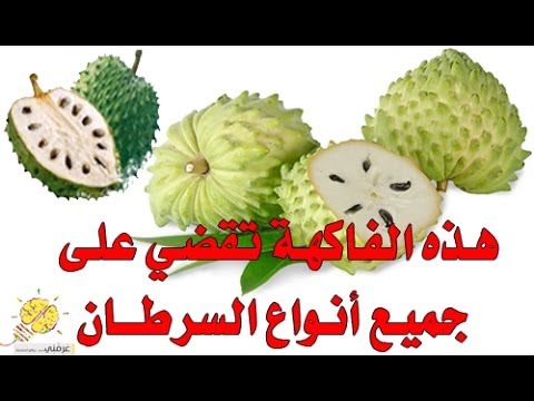 علاج مرض السرطان - احدث علاج للسرطان 3685 1