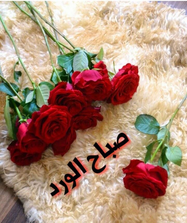 صور صباح , اجمل العبارات للصباح