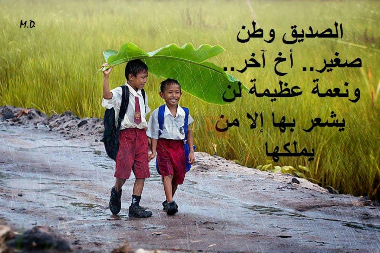 شعر عن الصداقة 143 6