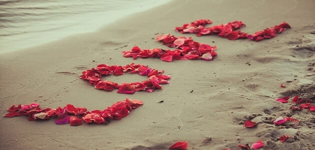 1073 11 رسائل رومانسية - يلا نتعلم ازاي نكتب رسائل رومانسية لشريك حياتنا الغالي جمال