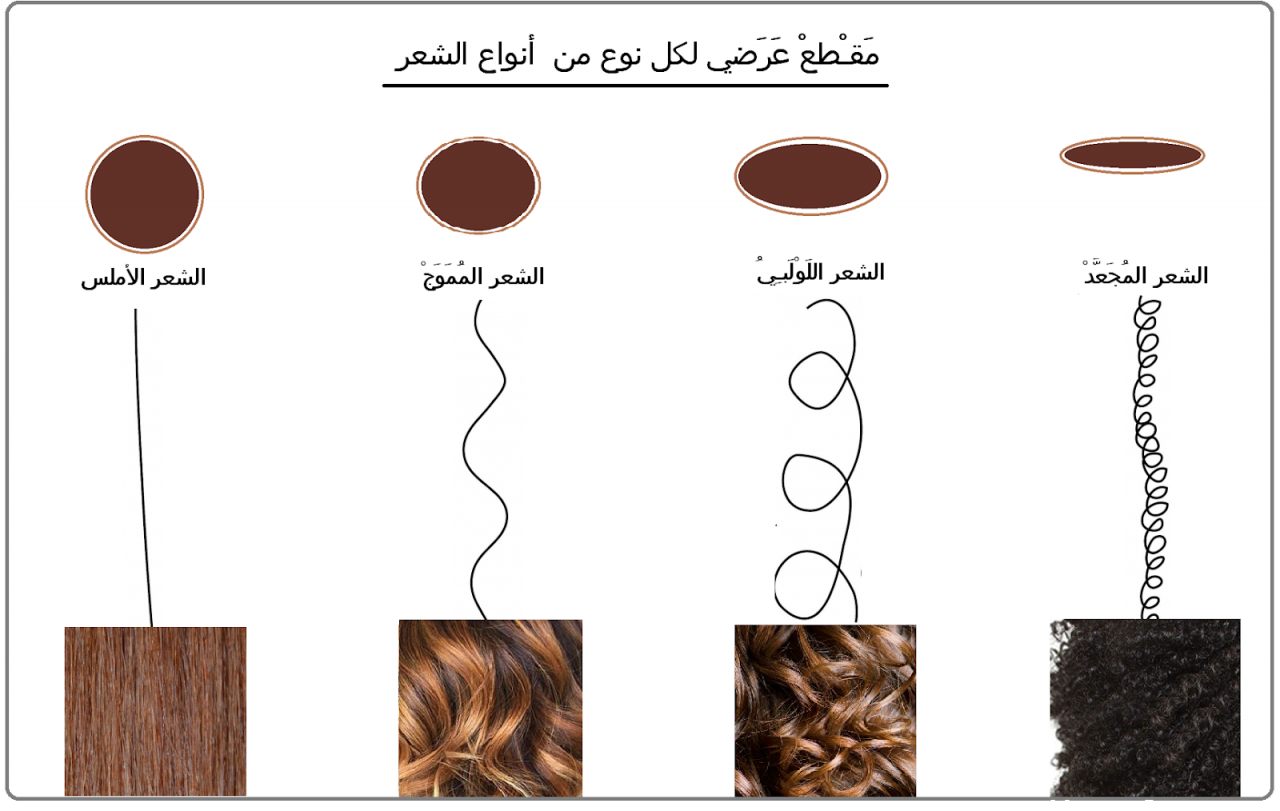 كيف اعرف نوع شعري , تعرف على نوعيه شعرك المختلفه