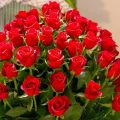 13123 10 صور ورد اليك احدث الصور الطبيعية والمميزة 2021 الورد طبيعي، اجمل الورود الطبيعية الجذابة اشجع Ashj